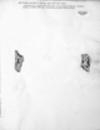Diplotomma alboatrum image